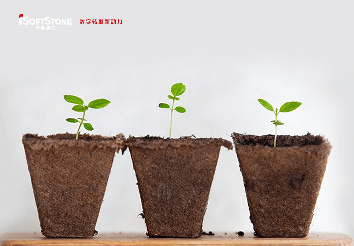 学術的継続可能の革命精神で地方の子供たちに愛を渡す——iSoftStoneは再び公共福祉教育を支援する。。。。。。