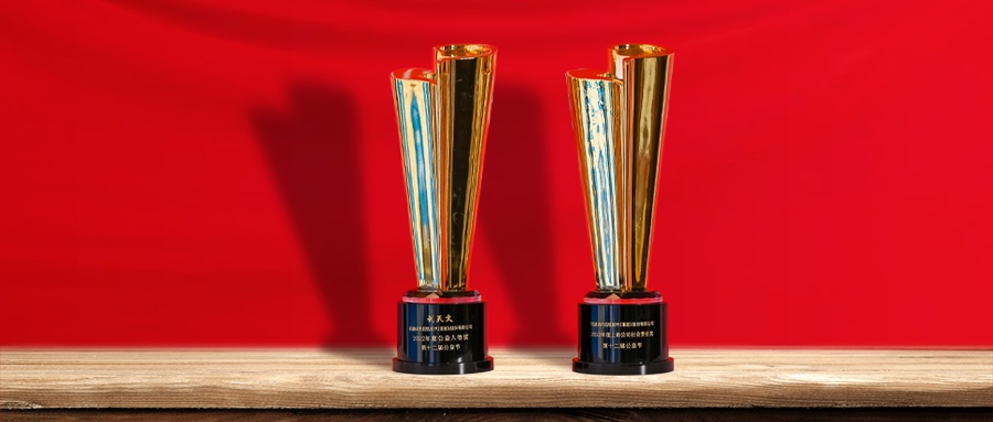 益起向未来 亚星游戏动力荣膺第十二届公益节两项大奖
